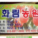 화림농원 이미지