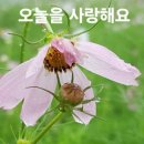 월영동249 이미지