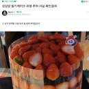 딸기 세척을 안한다는 루머에 해명한 성심당 이미지