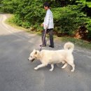 취임후 첫 휴가 문 대통령..."보고싶어요" 요청에 다시 나와 셀카...내일 노 전 대통령 추도식 참석 이미지