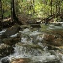 도사곡길 이미지