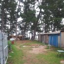 봉선민박 이미지