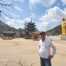 2025년 4월 15일 제 18차 문화탐방, 법주사 현충원 외암민속마을 이미지