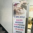 미경락피부샵