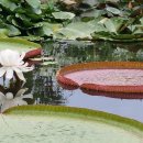 행운쉼터 이미지