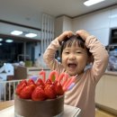 바디다짐 | 금천구 헬스장 바디다짐 벌크업 후기(feat. 실패담)