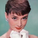 [북부] 나도바리스타 B | 크리드 스프링플라워 - 데오늬 달비와 피카츄가 생각나!