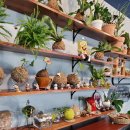 땡스커피 이미지