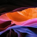 철원한우파크 이미지