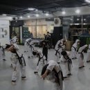 용인대 수 합기도 이미지