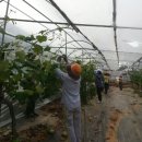 남서울농협 이미지