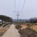 여주-1066 이미지