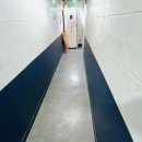 스테이더문 이미지