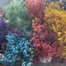 서울로터스치과의원 이미지