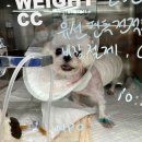 다솜메디컬 이미지