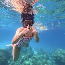 럽망고 | 피피섬 롱비치에 폴인럽💕 &amp; 꼬록꼬하 투어 후기