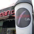 블랙빈(BLACKBEAN) 이미지