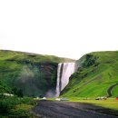 안의꽃사랑 이미지