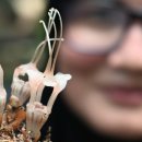 100-1-000025 이미지