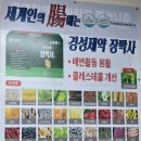 경성제약장박사 - 유성구 도룡동 | 🌿 경성제약 장박사 플러스 – 장 건강 지키는 습관!