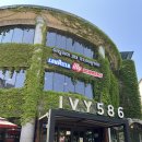 아이비586 이미지