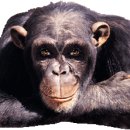 효리경로당 이미지