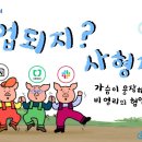 상상코리아 협동조합