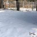 강릉 가볼만한곳 1박 2일 알찬 여행코스❤️