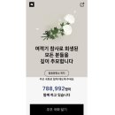 요즈음 이미지