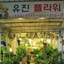 유진플라워 - 서초구 강남대로 27 | 유진플라워