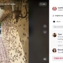 (주)귀뚜라미 Daum카페