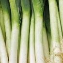 주식회사 마켓올 이미지