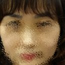 오렌지헤어팜 이미지