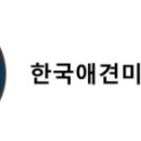 초량애견 이미지