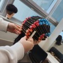 생활미용(헤어디자인) | 서경대 헤어디자인학과 준비 과정! 실기·구술·포트폴리오까지 완벽 정리