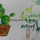 수채화캘리그라피 이미지