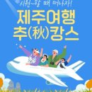 아이올레인포레스트캠핑 이미지