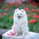 중리공원 이미지