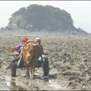 천수만민박 이미지