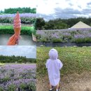 하늬목장 이미지