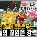 씨온엔터테인먼트 이미지