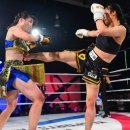 TNK태권도 이미지