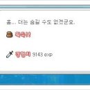 오르비스 이미지