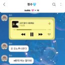 엑디즈 버블이 궁금한 사람?_주연/오드/정수 버블 후기