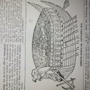 19세기 미국 신문기사에서 발견된 치명적 오류 이미지