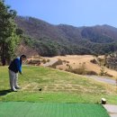 스프링베일리조트 이미지