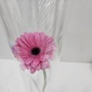 꽃내음스마트도서관 | 청소년 스마트폰중독 상담후기 / 스마트폰 중독에서 도서관을 좋아하는 아이가 되기까지의 여정