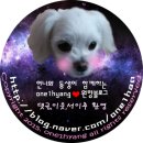 은풍상회 | 동대문 원단시장 후기 + 원단시장 소매