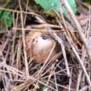 흙내음농장 이미지