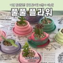 풀풀플라워 이미지